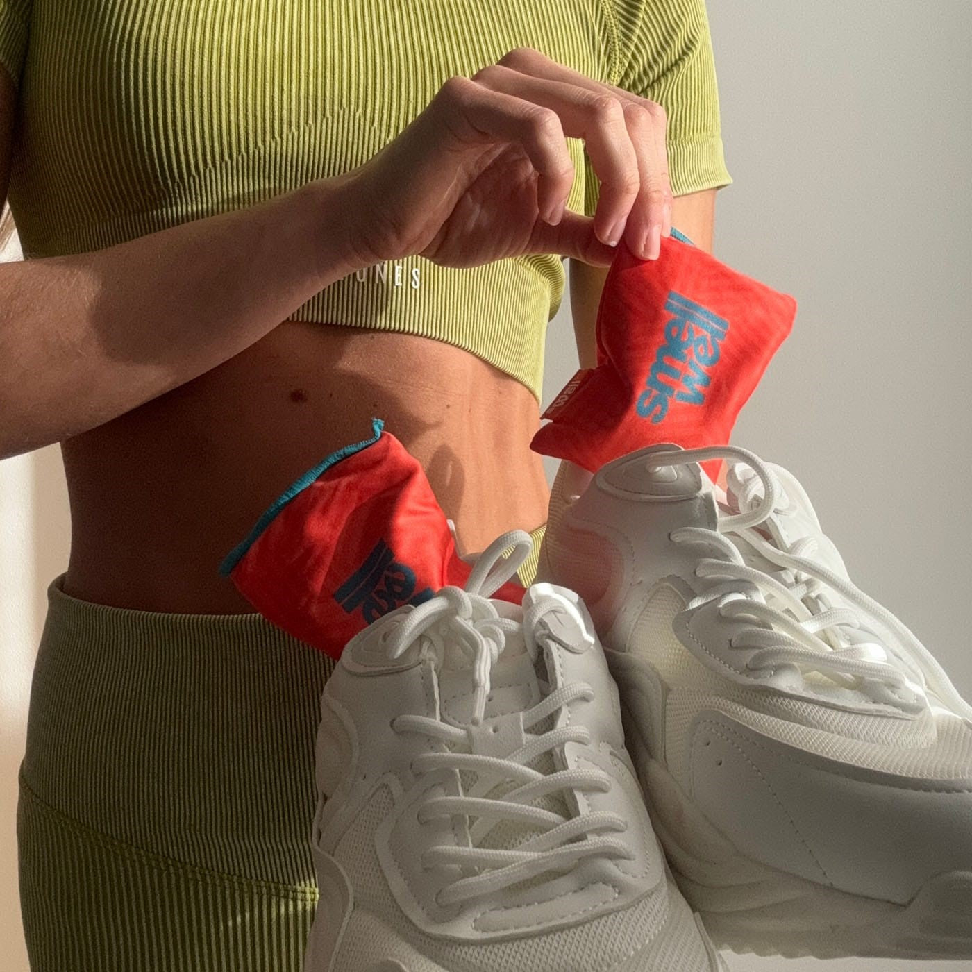 SMELLWELLACTIVE GO SHOE FRESHNER